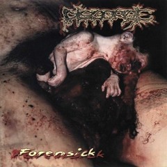 DISGORGE (MEX) - Urethrive Decortico - Xanthomatose Muco Gestated Scaffolds