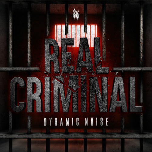 Dynamic Noise - REAL CRIMINAL