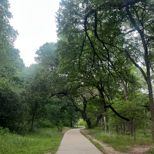 If I’m gonna be a man on this earth