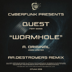 WORMHOLE - DESTROYERS REMIX