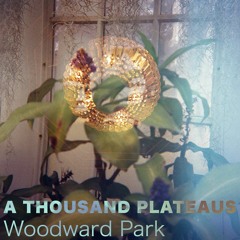 Woodward Park