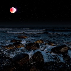 6 Monkberry Moon Delight (Exuma:Cesar Comanche Feat Supastition:Prod. BAzOo)