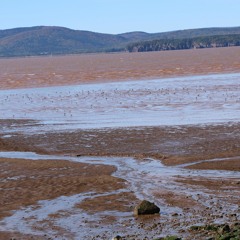 Walk beside the Bay of Fundy