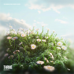 彩虹线条XL - Thrive