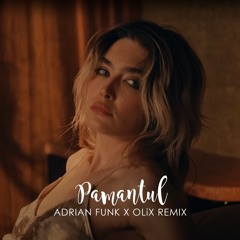 Related tracks: Pământul (Adrian Funk X OLiX Remix)