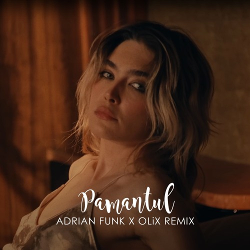 Related tracks: Pământul (Adrian Funk X OLiX Remix)