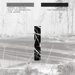 Circles (feat. Tom Adams) [Tom Adams Remix]