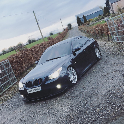 Dowl Hoors Discobitch 🍸