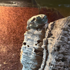 purple make me float (Prod. walronD!)