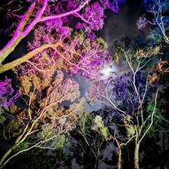 Akula // Sunday 1-3am // Solis 23