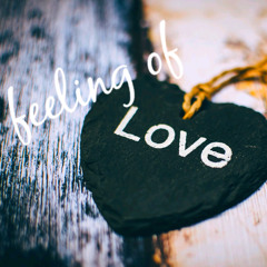 Feeling of love (original)