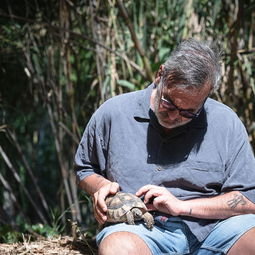 Method To The Madness w/ Dimitri Papaioannou (10.11.2025)