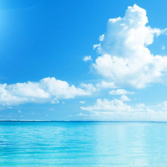 바다 가자