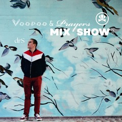 VP Mix Show 011 - drS