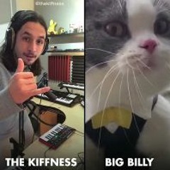 The Kiffness X Big Billy (Live Looping Talking Cat Remix)
