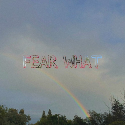 FEAR WHAT (feat. Reflective Intelligence) (prod. Medlo)