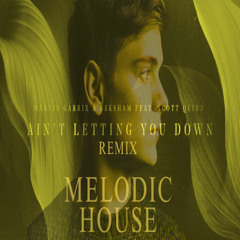 Martin Garrix x Israel Carter - Ain't Letting You Down (Remix) | Melodic House