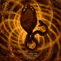 Its Explanation Is Your God