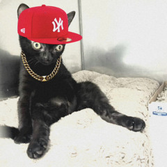 salgo pa la calle (maumoshhh breakcore remix) (brainrot version)