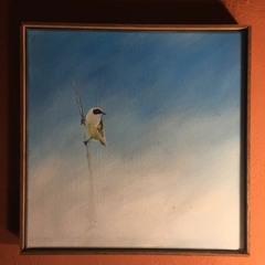 Sous le soleil, le vent