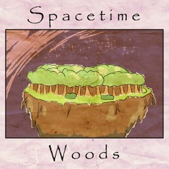 Spacetime Woods