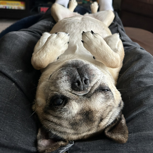 HOW THAT GO!? - MI$CHIEF (prod.okkes)