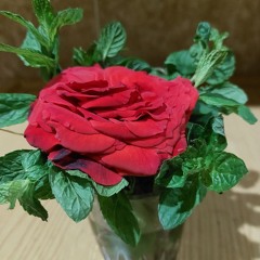 ما تيسر من سورة ق 😍 اليوم الرابع 😍