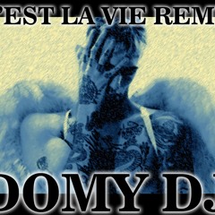 C'est La Vie Remix -DOMY DJ-