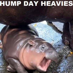 HUMP DAY HEAVIES