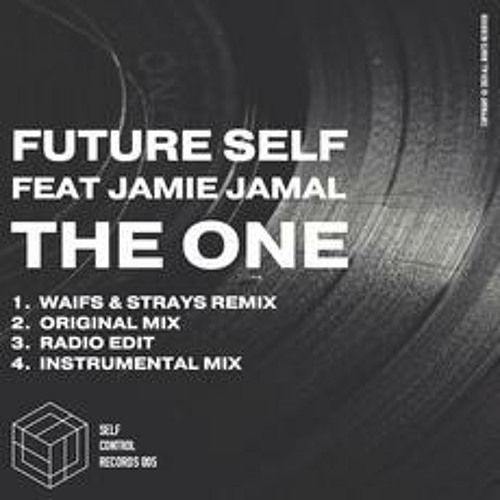 Future Self feat Jamie Jamal - The One (Waifs & Strays Remix)