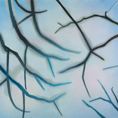 swapa - smp (martinleib & hd)