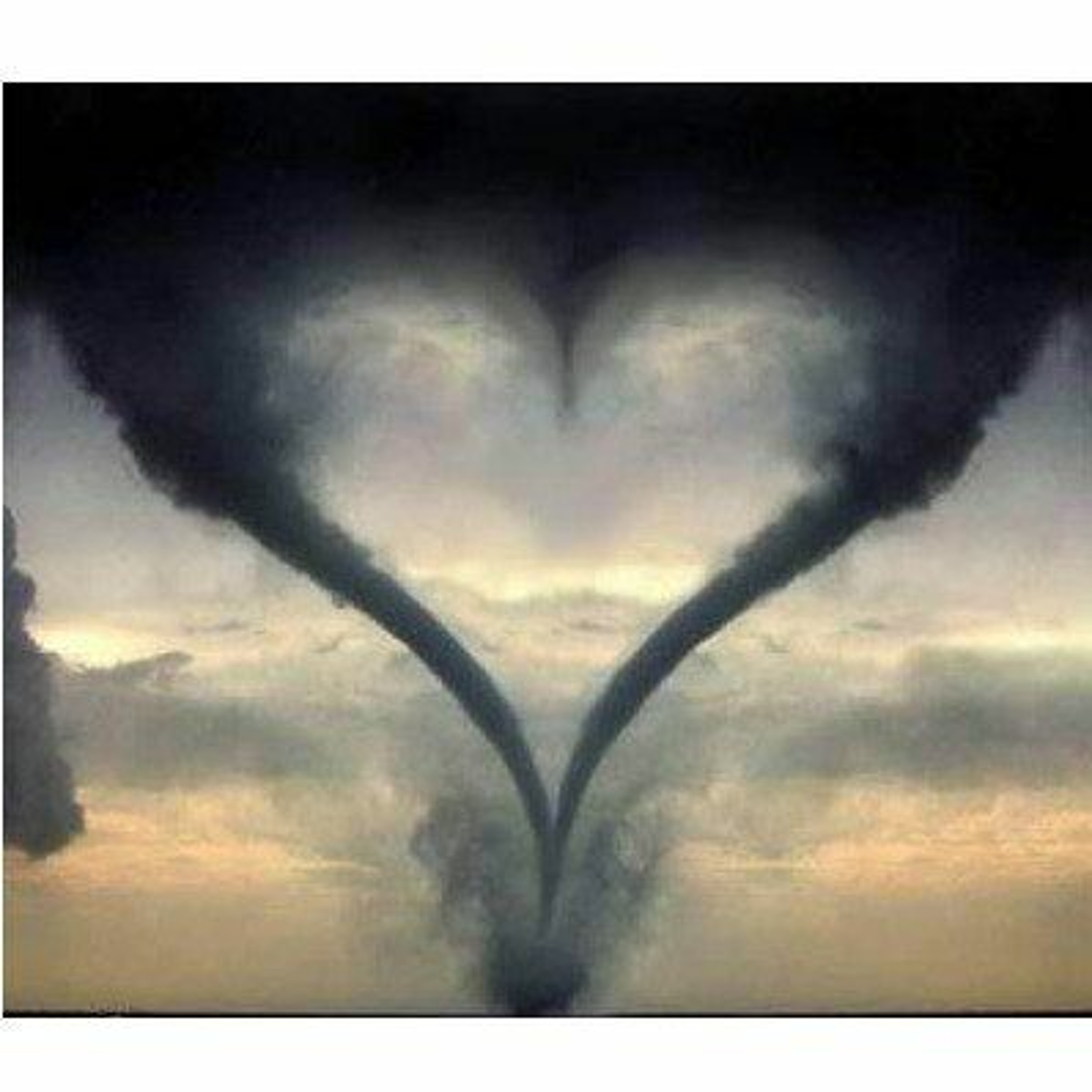 Suicide Fun (shurkin)