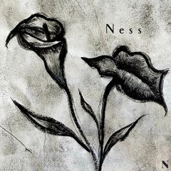 Nachtblumen Podcast #22 Ness