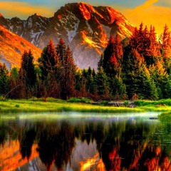 Alter Vibes @Hv Burto #Stxrz #JerseyClub