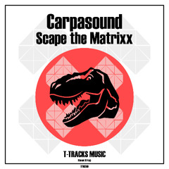 SCAPE THE MATRIXX - CARPASOUND
