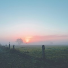 To Be