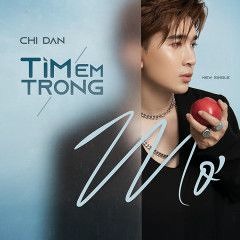 Chi Dân - Tìm Em Trong Mơ - Hưng Bobi Remix