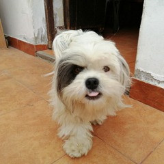 I'm Leaving Home (before u kick me out) (demo)