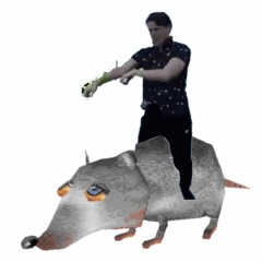 Rats