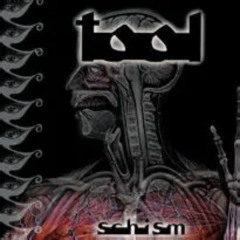 Schism (Cover)