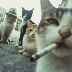 how am i here ft. logan // prod. matrix2