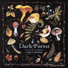 Dark Forest