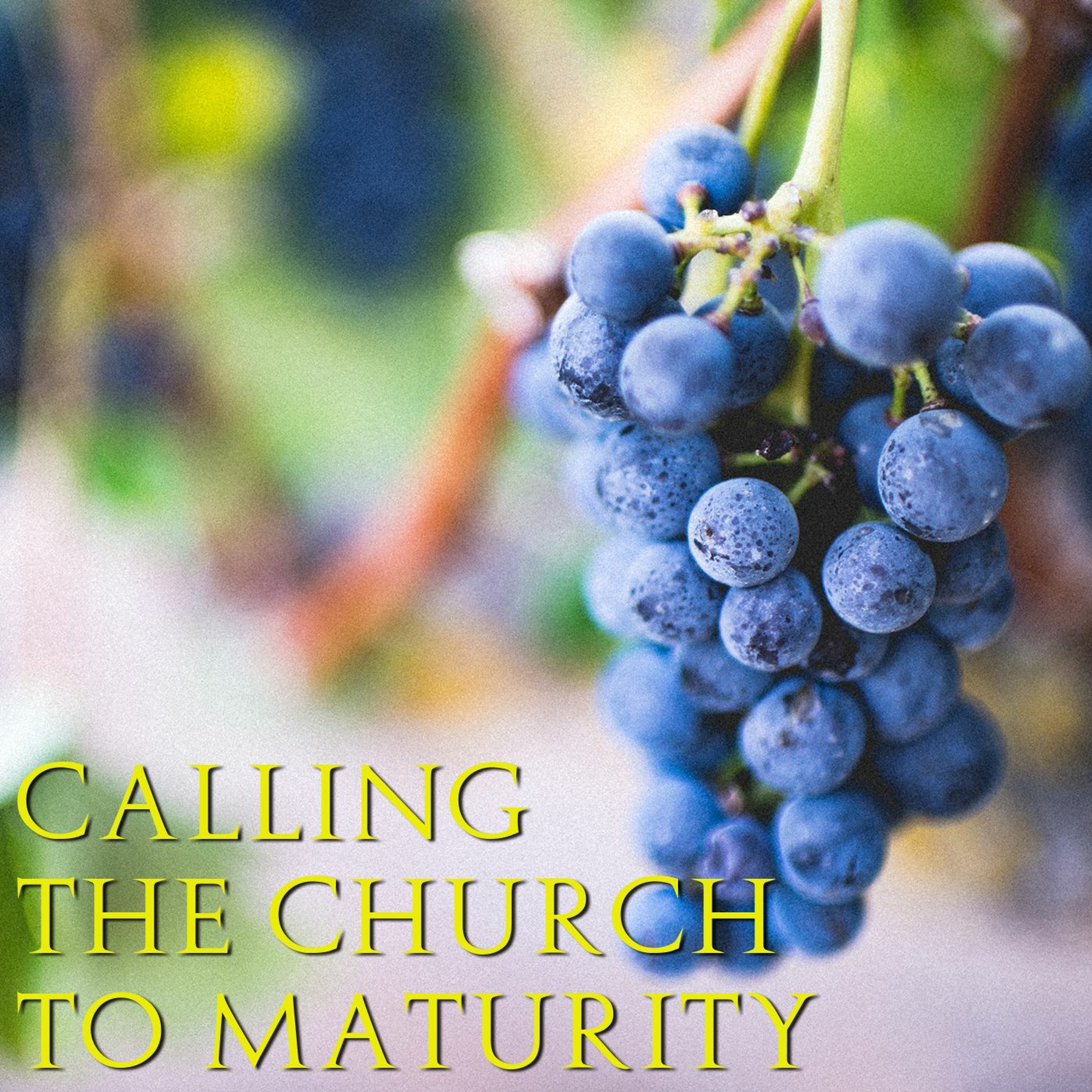 Calling the Church to Maturity episode artwork