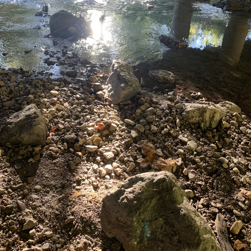 Stream Racks Up! by Fuckriddance Listen online for free on SoundCloud