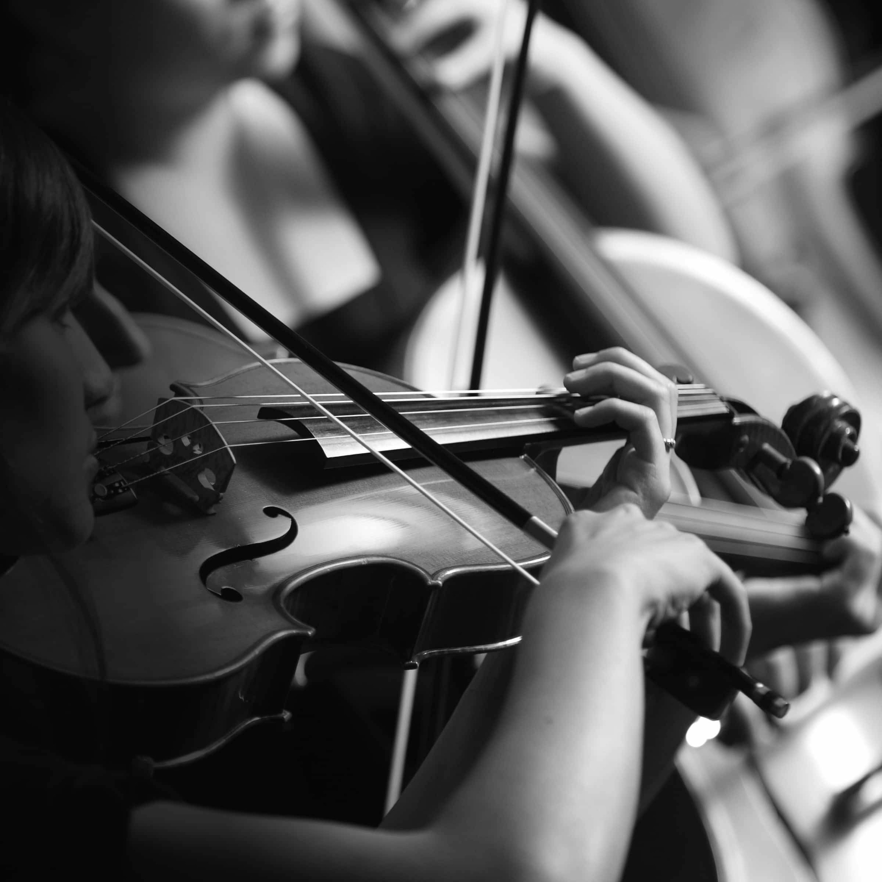 The Lonely Cello Podcast