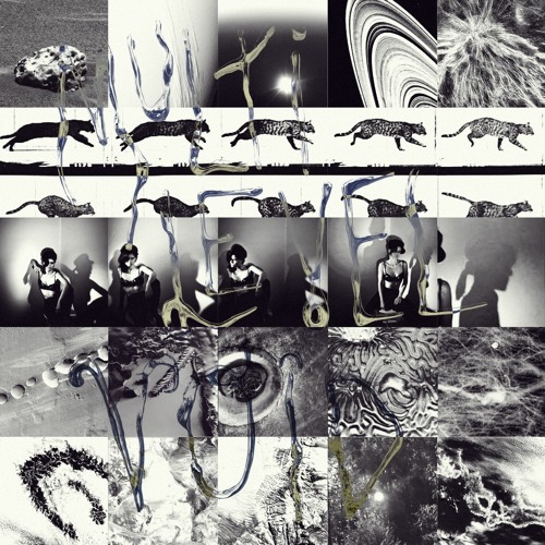 Multi Level Void Ep
