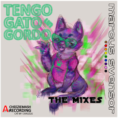 Tengo un Gato Gordo [Nefarious Tech House Mix]