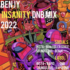 ‘Insanity’ 2022 Drum and Bass Mix