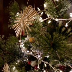 Jehovah The Lord Will Provide