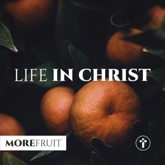 More fruit: Life in Christ | Neil Bester